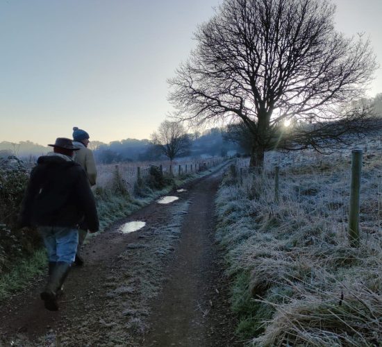 Copy of winter bird survey 3