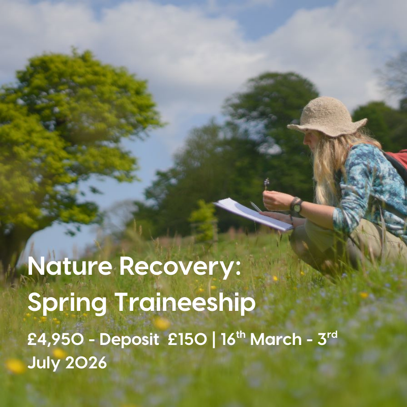 New Summer 2025 Residential Training (2)