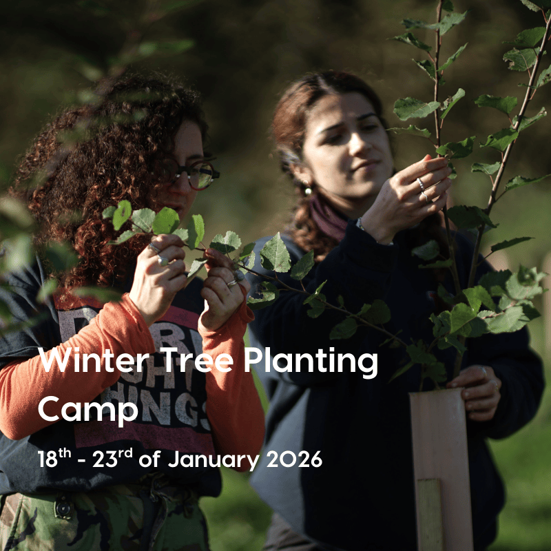 New Summer 2025 Residential Training