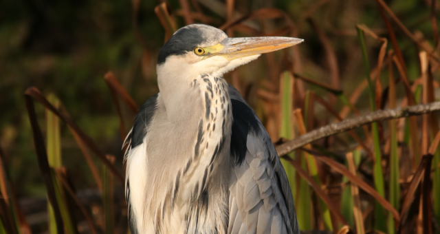 This project is funded by