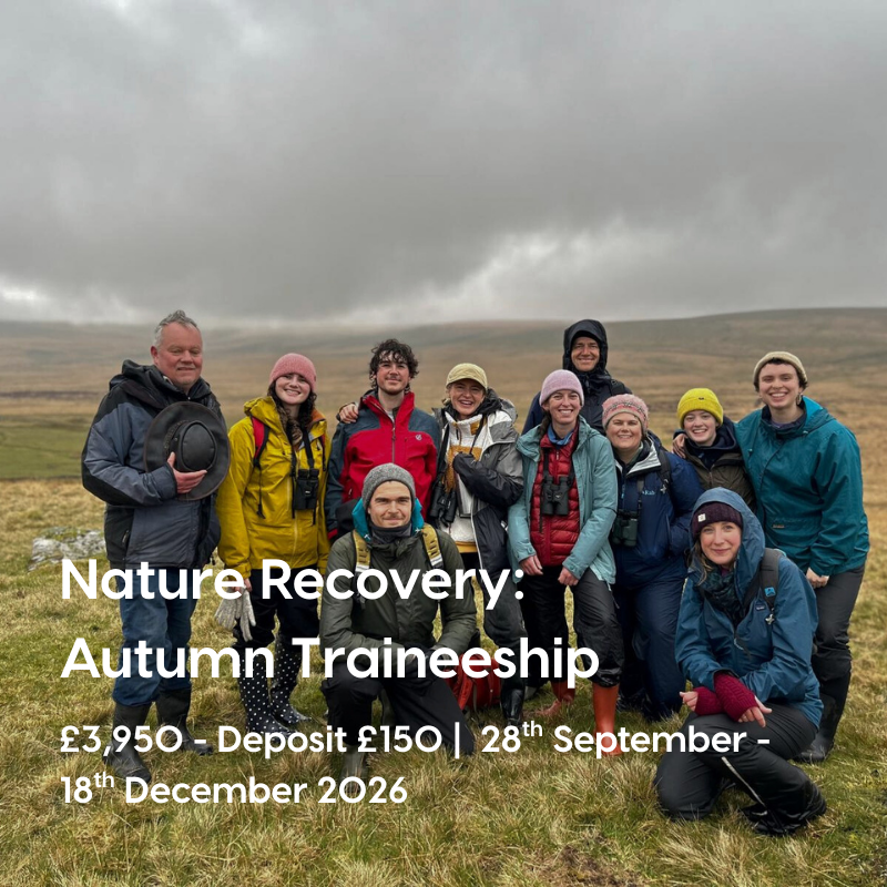 Training Courses Icons (17)