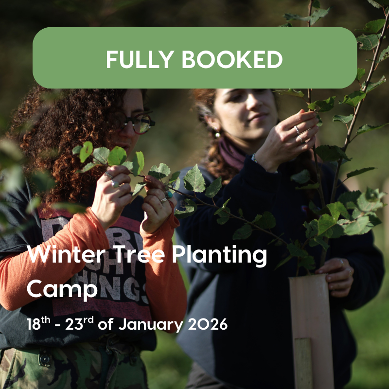 Training Courses Icons (5)