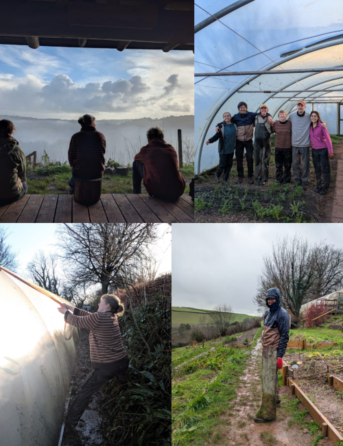 Untitled design (10)