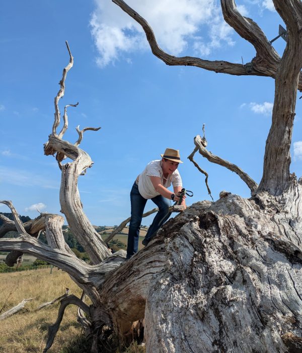 WhatsApp Image 2025-08-25 at 11.34.32